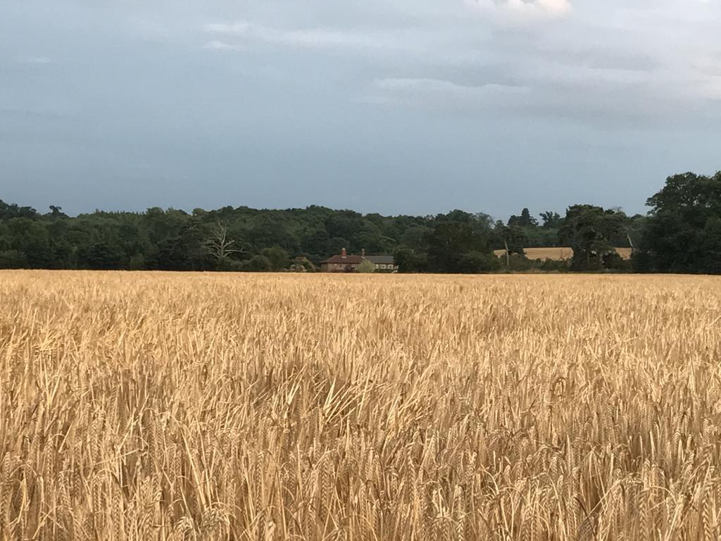 Thonock Lane